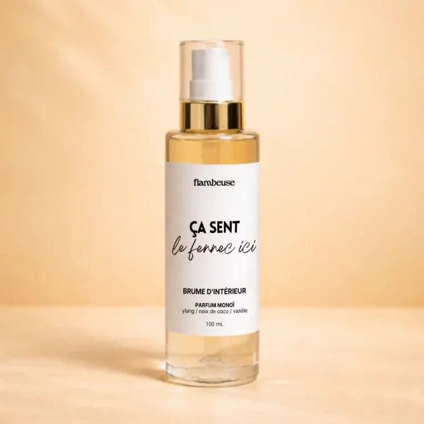 Brume d'intérieur parfumée - "ça sent le fennec ici"